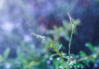 德塞利心目中的最佳11人，真是BIG胆，竟然无“公认”足坛第一人