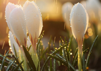 欧冠3-0！切尔西大胜10人巴萨！18岁巴西天才闪耀，蓝军3球被吹