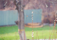 德甲：拜仁胜勒沃库森