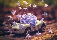 穆里尼奥迎来两场关键战，狂人依然骄傲，本赛季大有希望夺冠